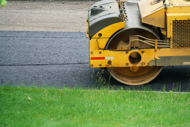 Best Driveway Repair Near Me  in Detroit Lakes, MN